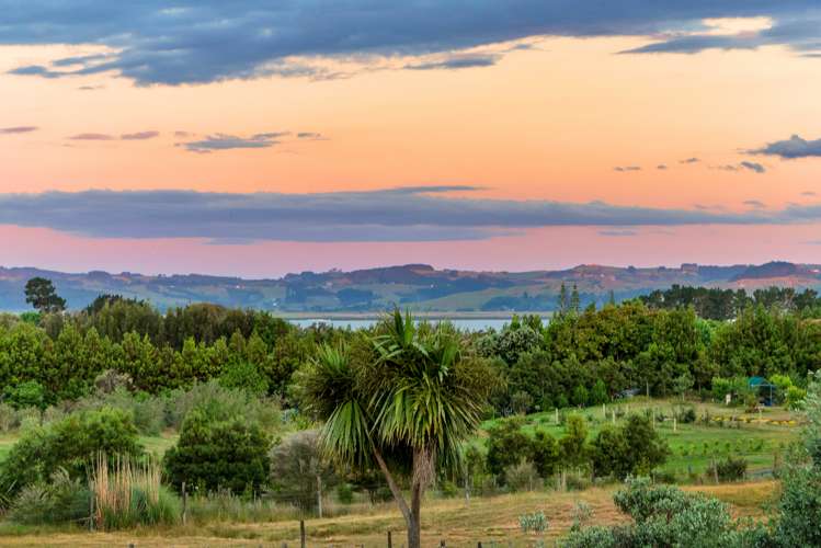 115 Shelly Beach Road Shelly Beach_15