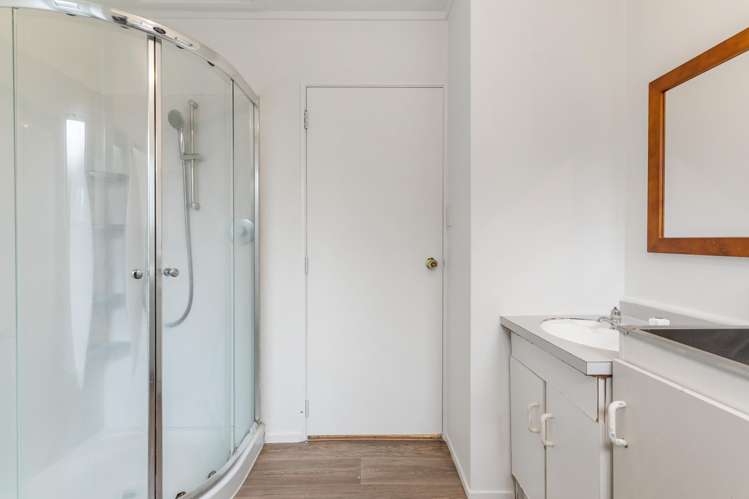 48 Astley Avenue New Lynn_19