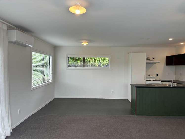 9A Pine Avenue Henderson_2