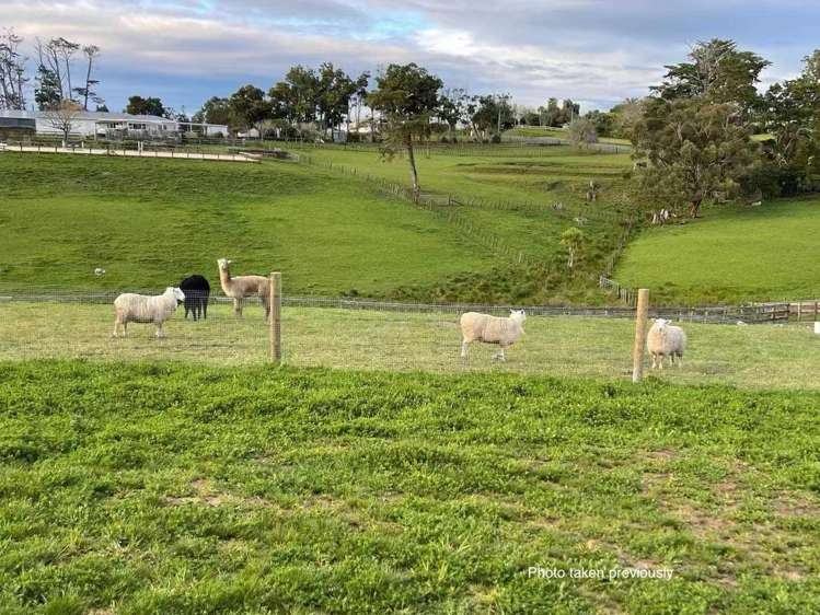 6 Livery Lane Taupaki_42