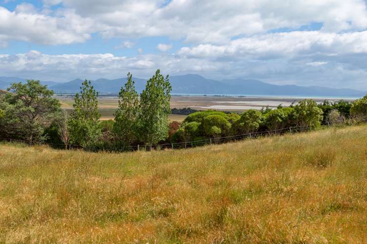 398 Redwood Pass Road Redwood Pass_3