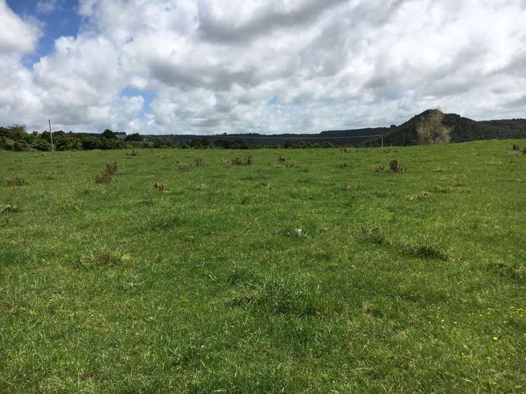 Whakataha Road Waimate North_12