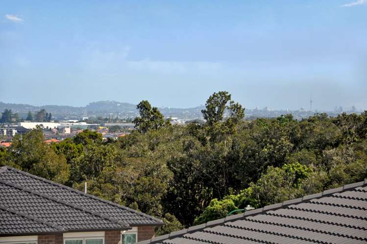 3 Drover Close Flat Bush_20