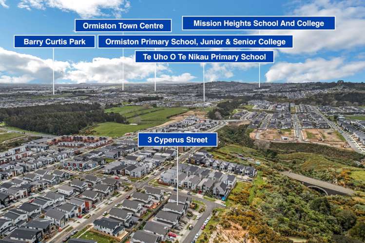 3 Cyperus Street Flat Bush_39