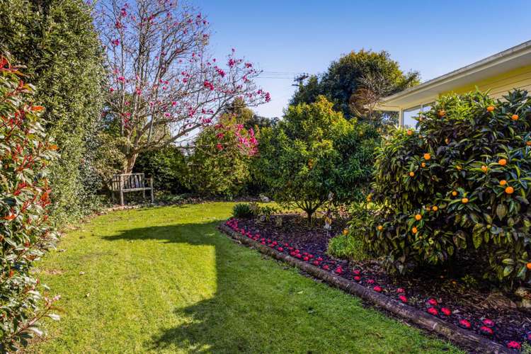 35 Smith Street Waverley_31