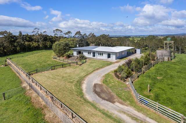 291 Rea Road Katikati_2