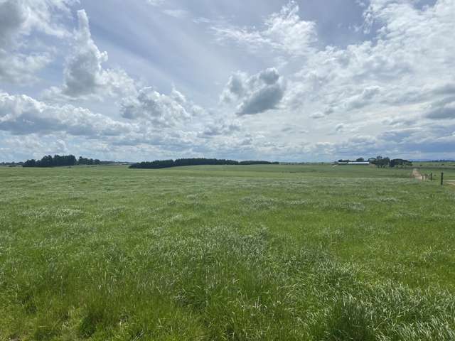 491 Waituna Gorge Road Wyndham Surrounds_2