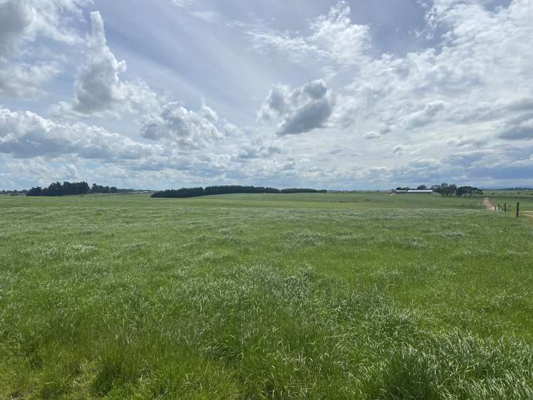 491 Waituna Gorge Road Wyndham Surrounds_2