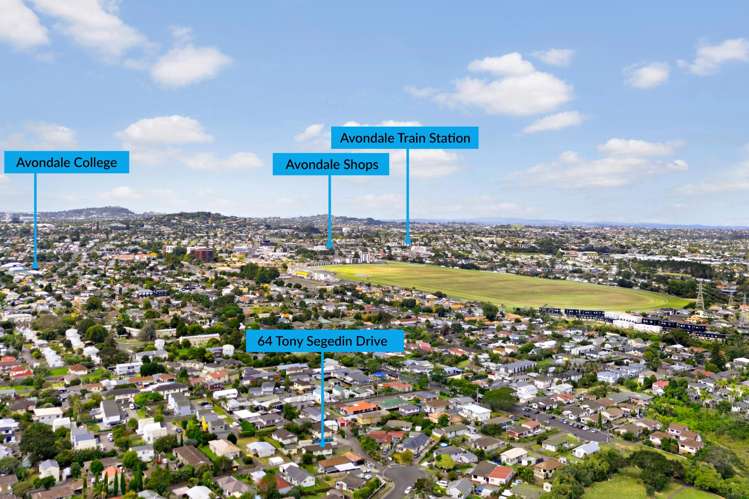 64 Tony Segedin Drive Avondale_18