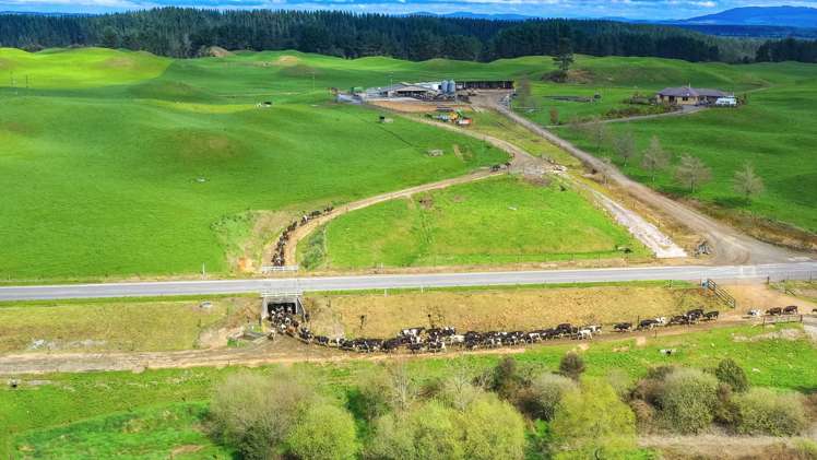 902 Galaxy Road Tokoroa_12