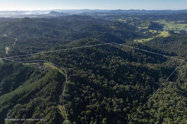 Peaceful, Private Bush Block with Expansive Views