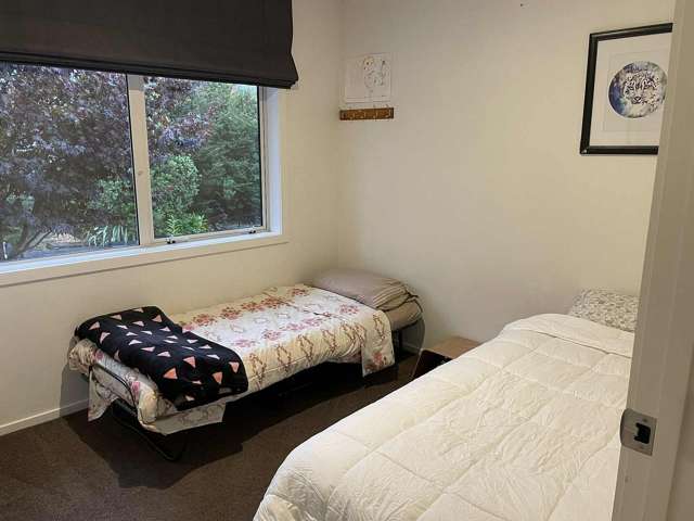 8 Criffel Place Luggate_3