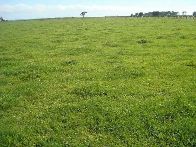 146 Brown Road Waitara_1