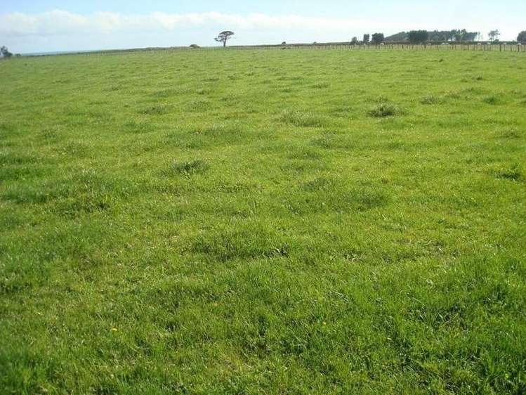 146 Brown Road Waitara_1