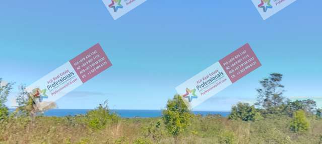 Address withheld Sigatoka_4
