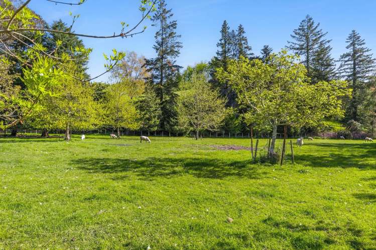 103 Win Valley Road Dovedale_21