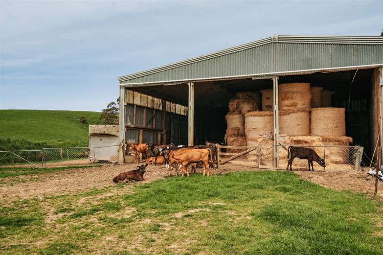 101 Logan Road Owaka Valley_13