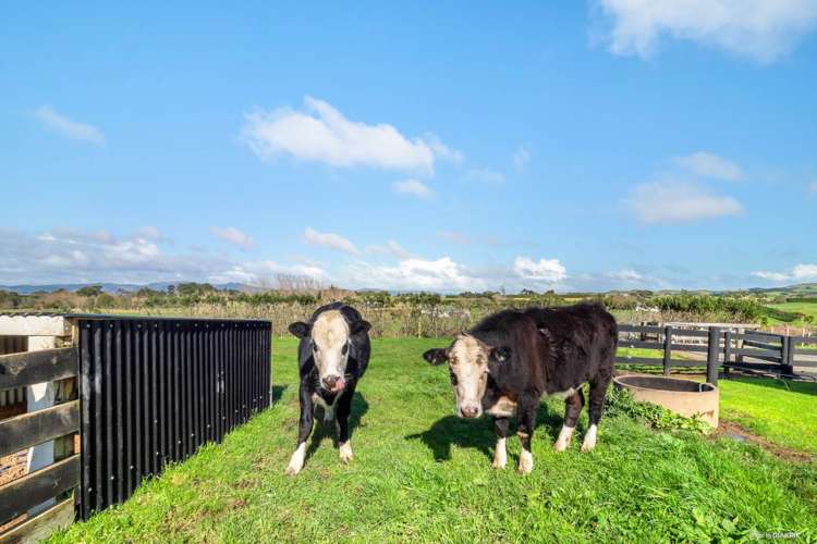 105a Smith Road Waiuku_17