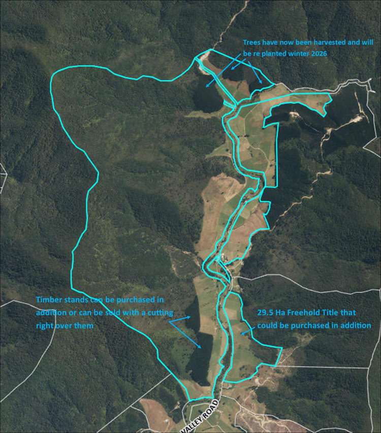 726 Tunakino Valley Road Rai Valley_48