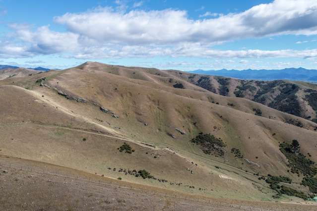 85 Cloudy Bay Drive Riverlands_1