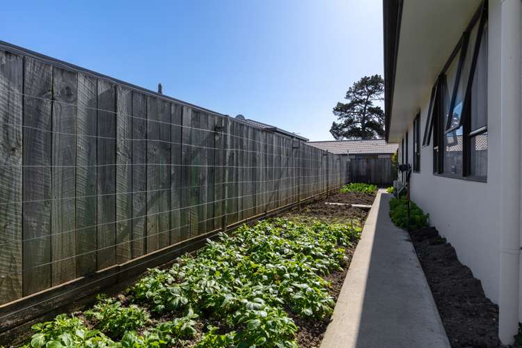 136 Maxwell Road Redwoodtown_22