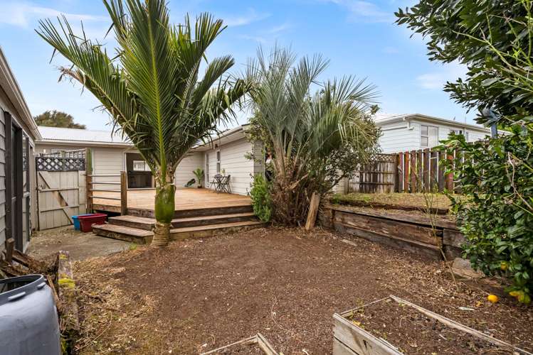 12 Curlew Place One Tree Point_25