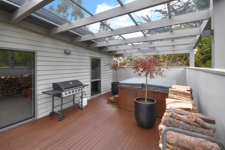 317 Leith Valley Road Leith Valley_18