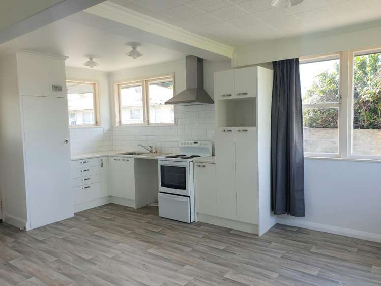 99 Bledisloe Road Maraenui_2