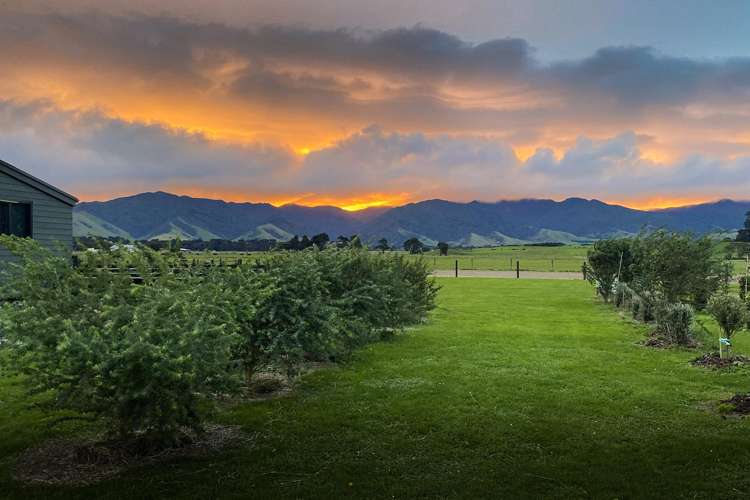490 Maharahara Road Dannevirke_22