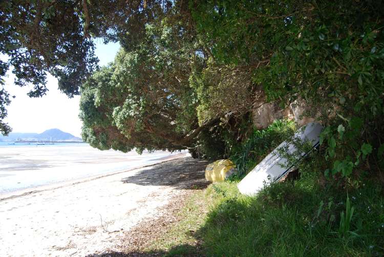 3/150c One Tree Point Road One Tree Point_10