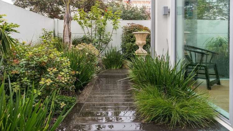 119a Muricata Avenue Mount Maunganui_9