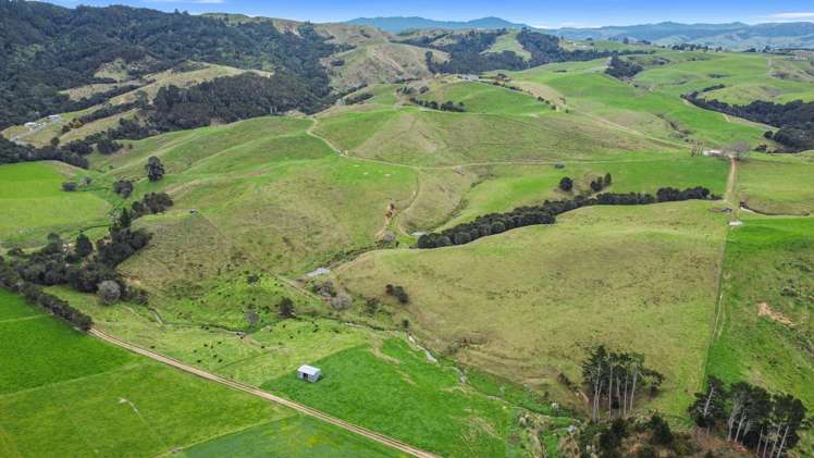 364 Quine Road Tahuna_8