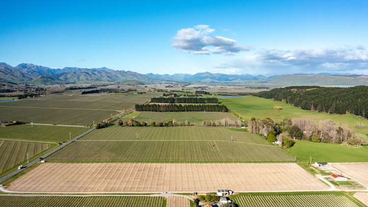 470 Waihopai Valley Road Waihopai Valley_10