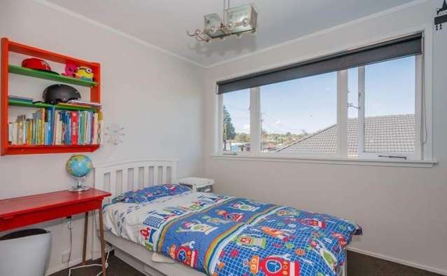 20 Ellis Avenue Mount Roskill_2