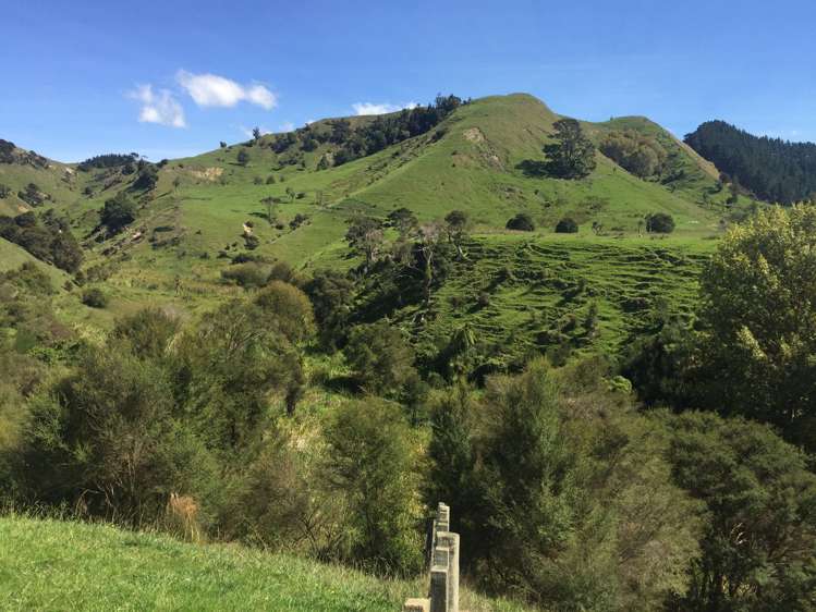 547 Papaiti Road Papaiti_9