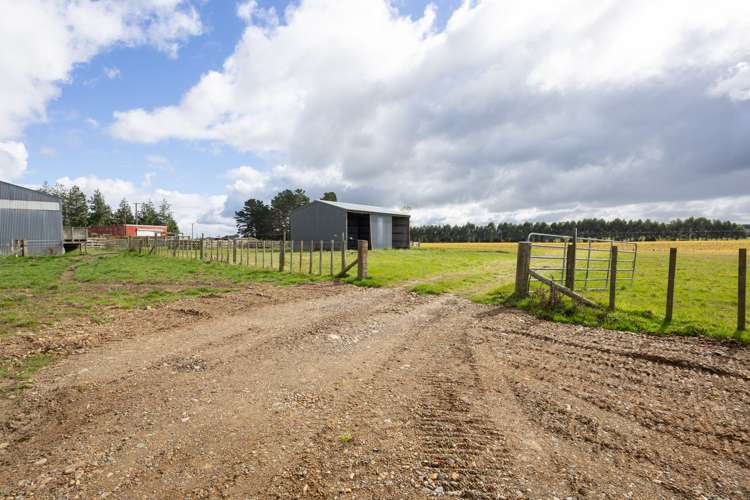 63b Sligo Terrace Roslyn_18