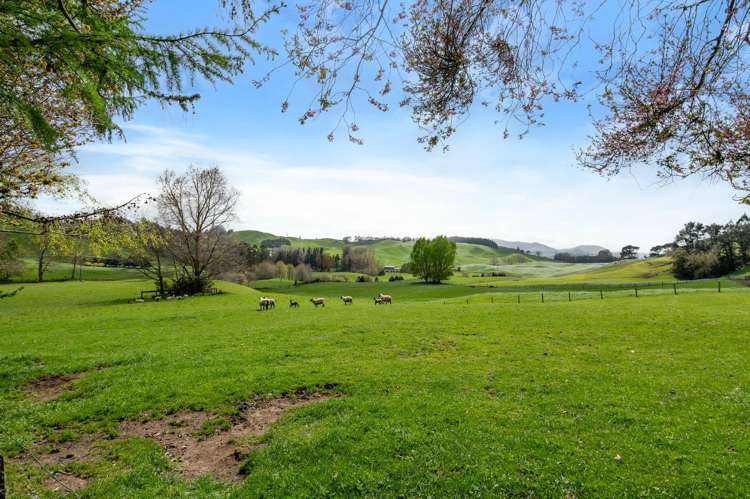 101 Te Weta Road Waikite Valley_25