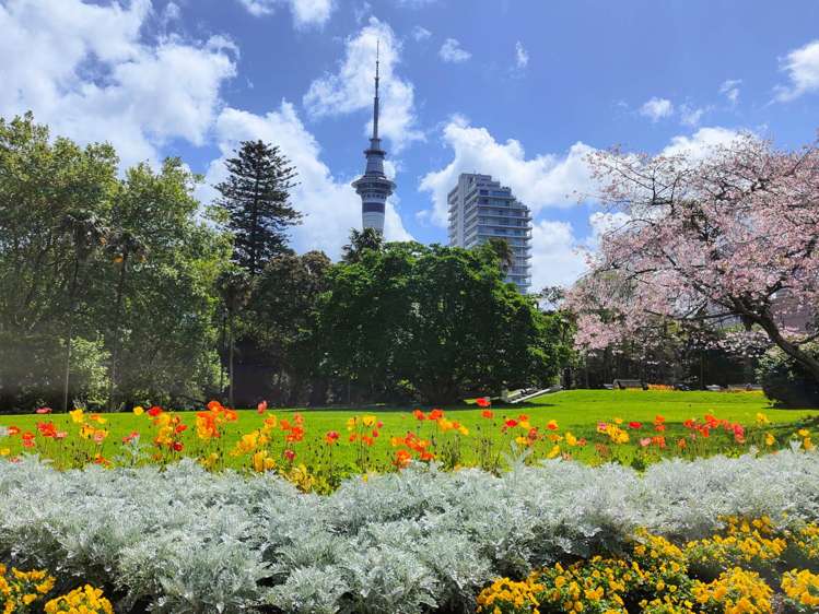 1802/6 Lorne Street Auckland Central_19
