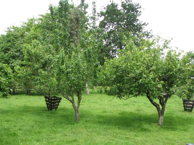 124 Paul Road Te Teko_3