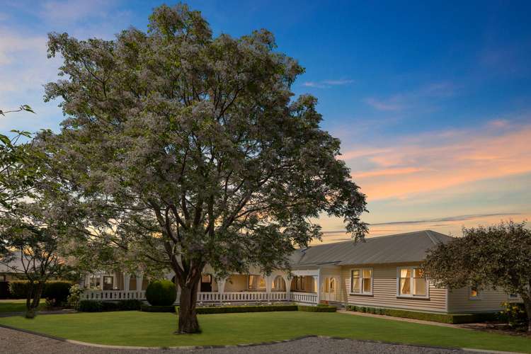 39 Murphys Road Springlands_11