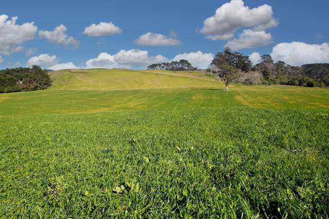 Crop, graze, orchard or lifestyle - 12ha