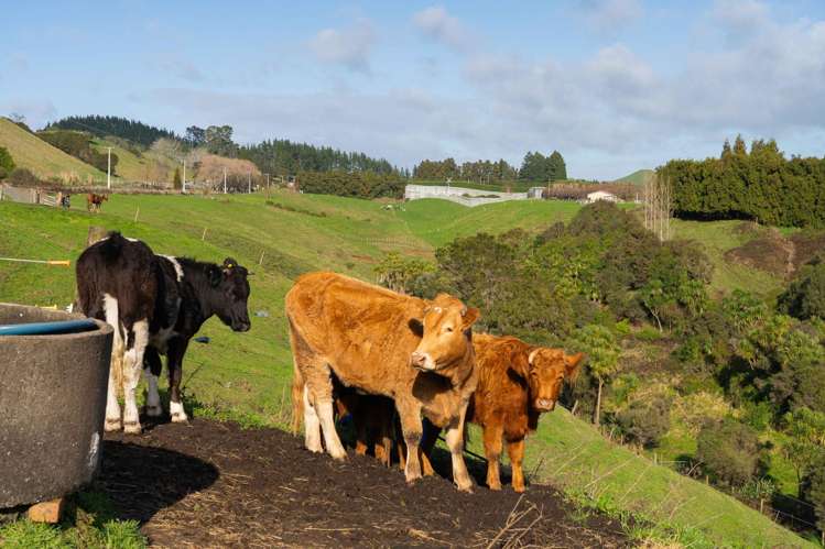 666 Maungarangi Road Paengaroa_21