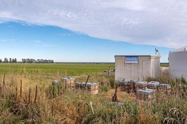 728 Valetta Westerfield Road Westerfield_12