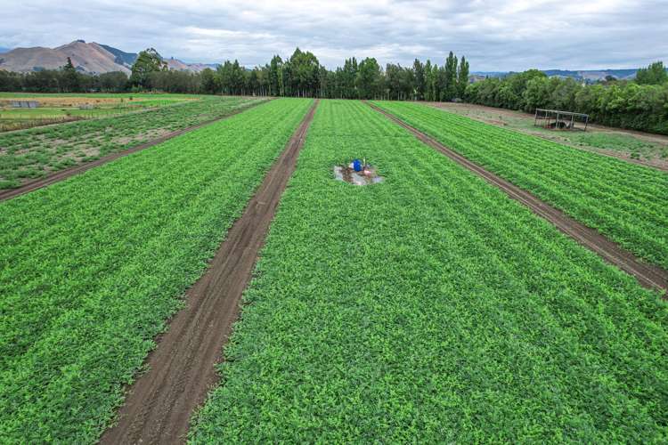 444 Paton Road Hope_7