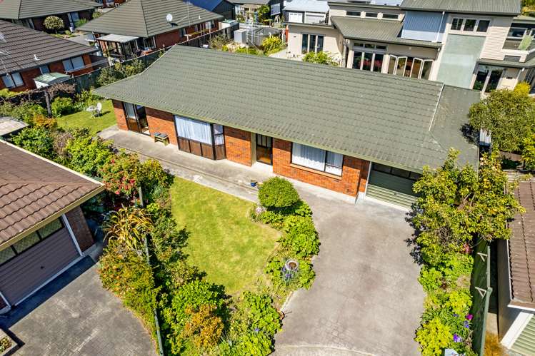 3c Shakespeare Walk The Wood_1