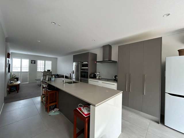 16 Charles Heaphy Lane Stonefields_2