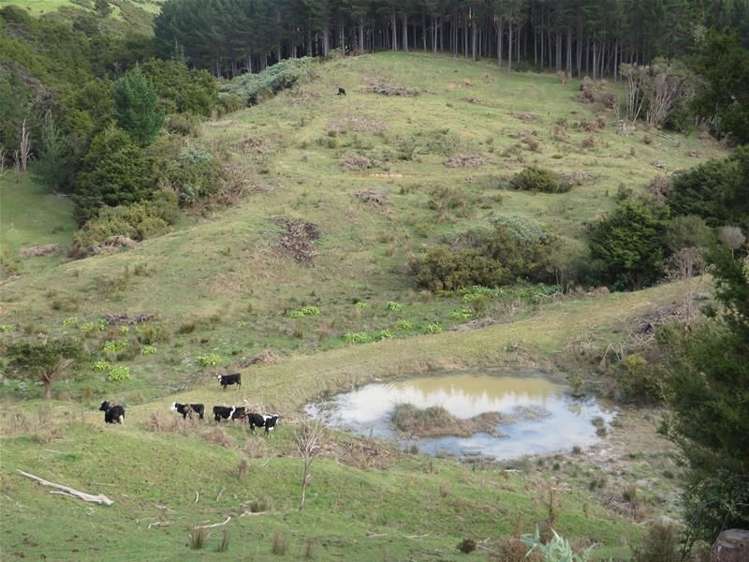 565 Bickerstaffe Road Maungaturoto_1