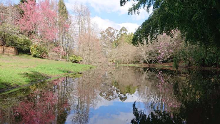 403 Hamurana Road Ngongotaha_18