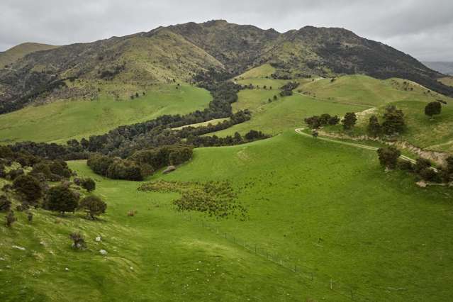 3717and3429 Inland Kaikoura Road Mt Lyford_4