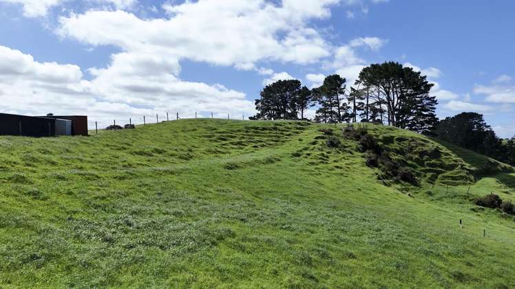 75d Bishop Road Hillsborough_8